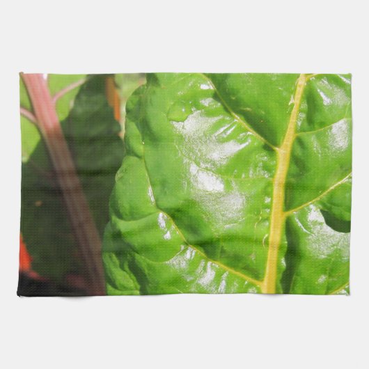 スイスのシャルド キッチンタオル (横)