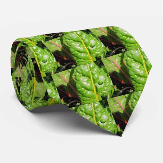 スイスのシャルド ネクタイ (ロール)