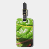 スイスのシャルド ラゲッジタグ (正面縦)