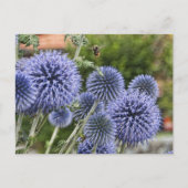 スイスのブレンツにある紫色のアザミとミツバチ ポストカード (正面)