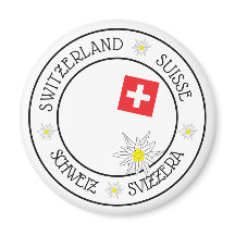 スイスの定位型ホワイト冷凍機磁石