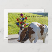 スイスの牛葉書を移転した ポストカード (正面/裏面)