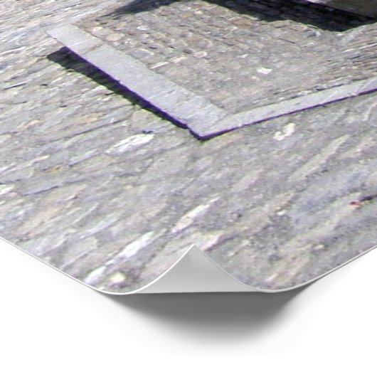 スイスの粥 ポスター (角)