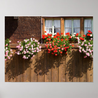 スイスの花の箱 ポスター