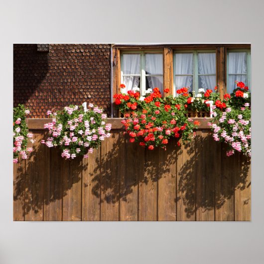 スイスの花の箱 ポスター (正面)