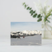 スイスの観光客ヘリコプターのシーン ポストカード (スタンド正面)