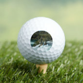 スイスの風光明媚なライン滝 ゴルフボール (インサイチュ 木)