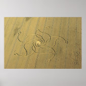 スイスのDiessenhofenのミステリーサークル/ ポスター (正面)