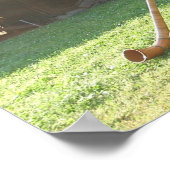 スイスアルパインホーン ポスター (角)