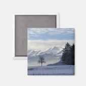 スイスアルプス マグネット (正面/裏面)