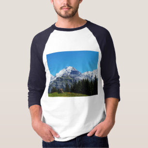 スイスアルプス Tシャツ