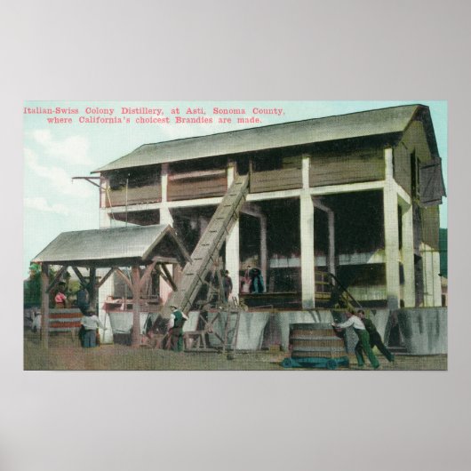 スイスイタリアン植民地ブランデー蒸留所 ポスター (正面)