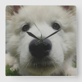 スイスシェパード犬の壁時計 – フル顔犬 スクエア壁時計