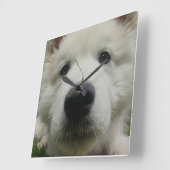 スイスシェパード犬の壁時計 – フル顔犬 スクエア壁時計 (傾斜)