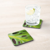 スイスチーズの植物のプラスチックコースター(6)の置いて下さい コースター (右側)