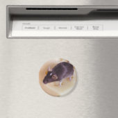 スイスチーズマウス磁石 マグネット (インサイチュ (食洗機))