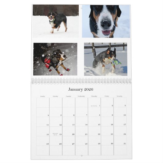 スイス人はSwissies (および友人) 2011カレンダーを舐めます カレンダー (1月 2026)