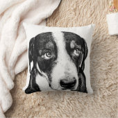 スイス山犬 クッション (ブランケット)