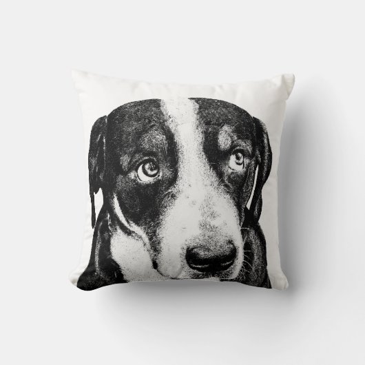 スイス山犬 クッション (正面)