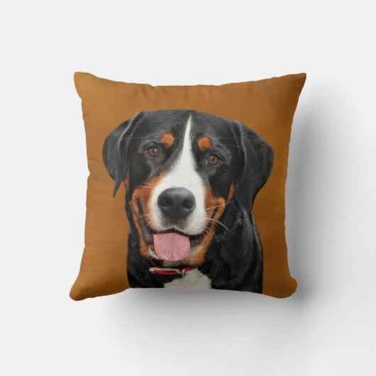 スイス山犬 クッション (裏面)