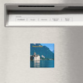 スイス磁石 マグネット (インサイチュ (食洗機))