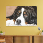 スイス素晴らしマウンテンドッグ キャンバスプリント (インサイチュ (リビング))