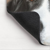 スイス素晴らしマウンテンドッグ マウスパッド (コーナー)