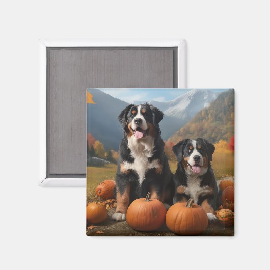 スイス素晴らしマウンテンパップオータムデライトカボチャ マグネット (正面/裏面)