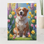 スイス素晴らしマウンテン犬の春の花絵を描ズ カード (正面)