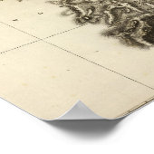 スイス13 ポスター (角)