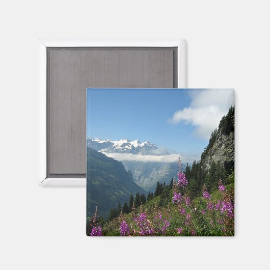 スイス，アルプス マグネット (正面/裏面)