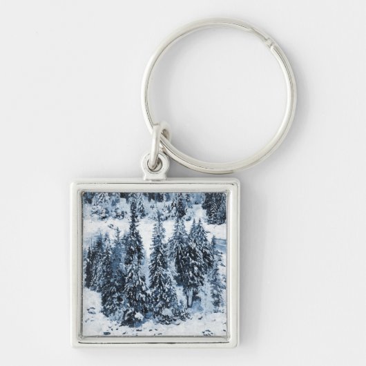 スイス キーホルダー (正面)