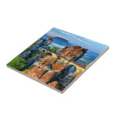 スイス・サクソンのバスティ橋 タイル (側面)