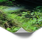 スイス,ジェスバッハ滝 ポスター (角)