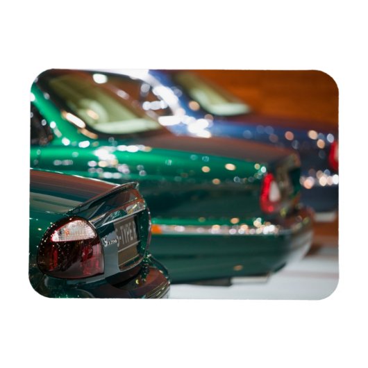 スイス、ジュネーブ：第75回ジュネーブ自動車一覧4 マグネット (横)