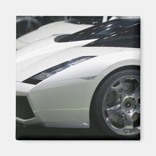 スイス，ジュネーブ：第75回ジュネーブ自動車年間11 マグネット (正面)