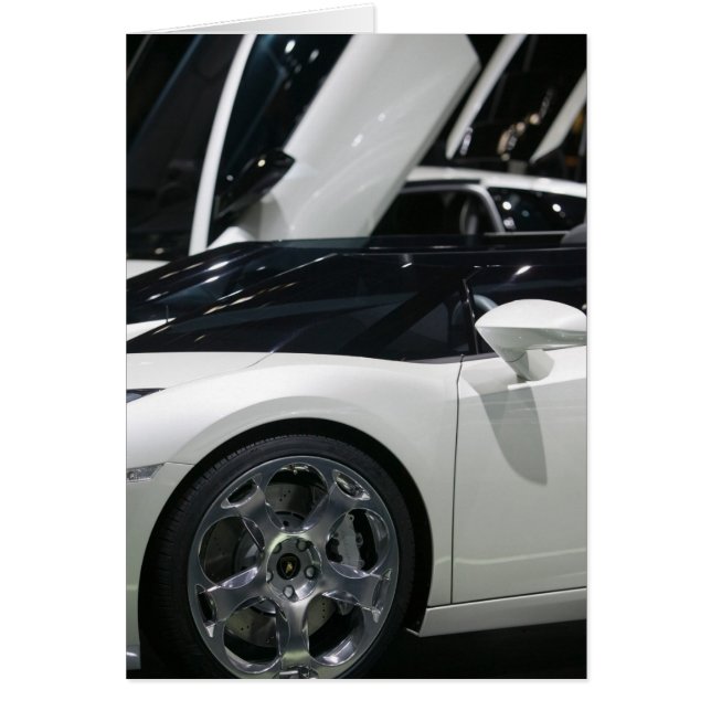 スイス，ジュネーブ：第75回ジュネーブ自動車年間9 (正面)