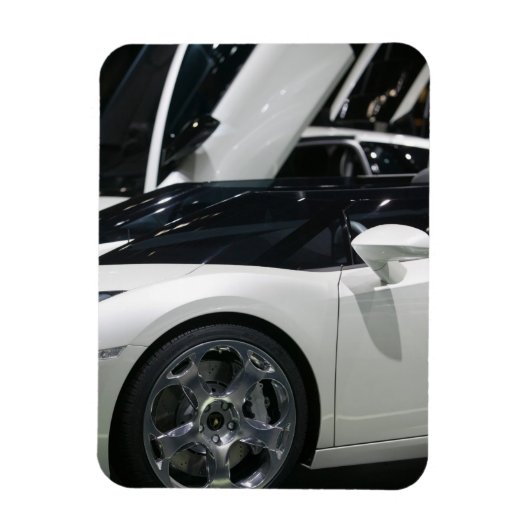 スイス，ジュネーブ：第75回ジュネーブ自動車年間9 マグネット (縦)