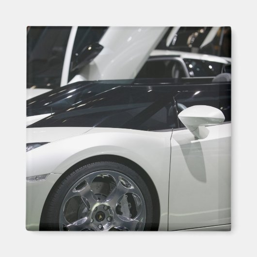 スイス,ジュネーブ:第75回ジュネーブ自動車年間9 マグネット (正面)