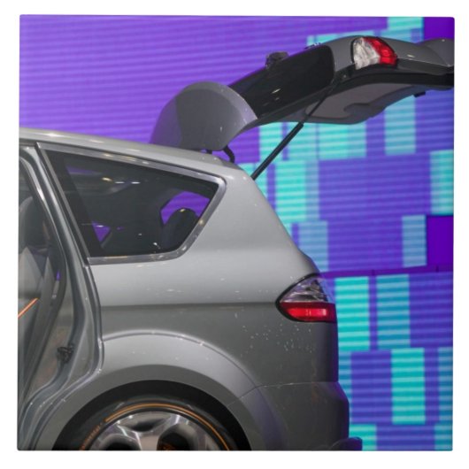 スイス，ジュネーブ：第75回年次ジュネーブ自動車10 タイル (正面)