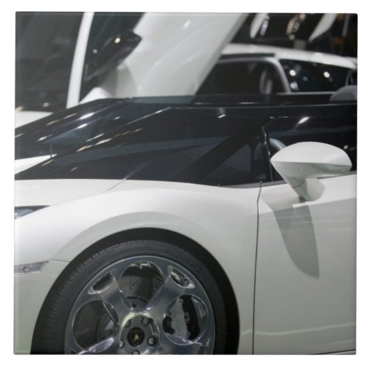 スイス,ジュネーブ:第75回年次ジュネーブ自動車9 タイル (正面)