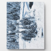 スイス フォトプラーク (正面)