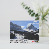 スイス、ベルネーゼ・オバーランド、エリズ ポストカード (スタンド正面)