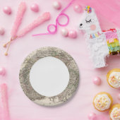 スイス ペーパープレート (パーティー)