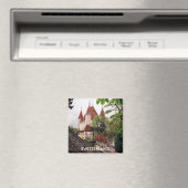 スイス マグネット (インサイチュ (食洗機))