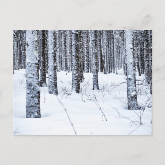 スイス，モントラビル，コルデュモレンルズ ポストカード (正面)