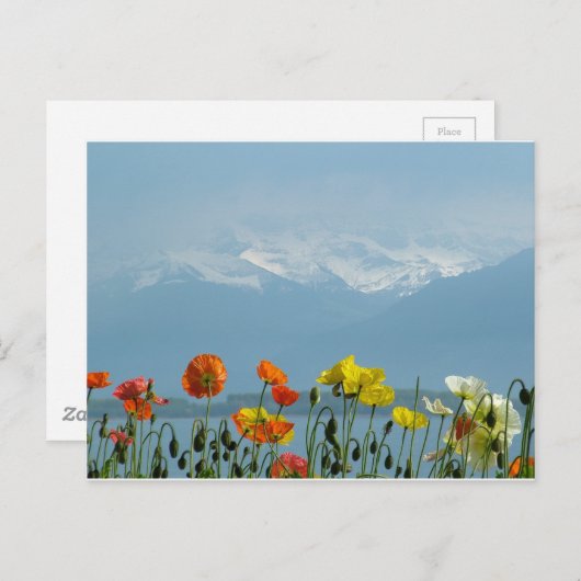 スイス–16800 ポストカード (正面/裏面)