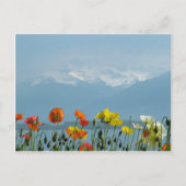 スイス–16800 ポストカード (正面)