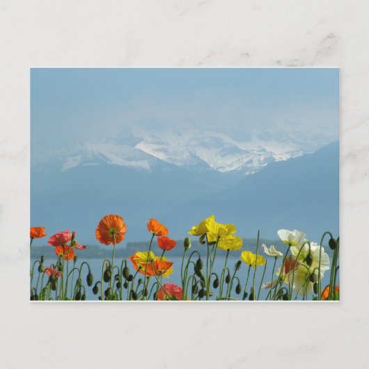 スイス–16800 ポストカード (正面)