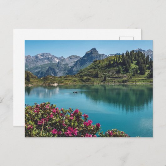 スイスTruebsee Titlis ポストカード (正面/裏面)